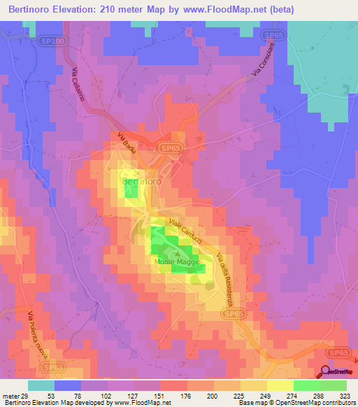 Bertinoro,Italy Elevation Map