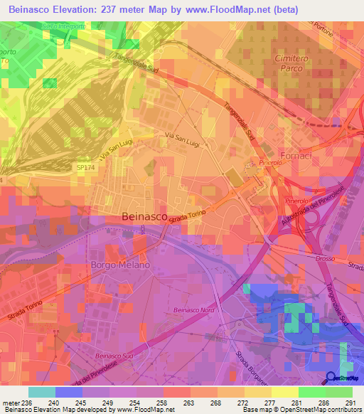 Beinasco,Italy Elevation Map