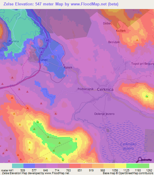 Zelse,Slovenia Elevation Map