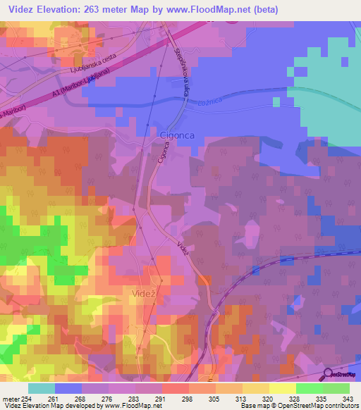 Videz,Slovenia Elevation Map
