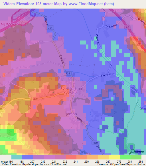 Videm,Slovenia Elevation Map