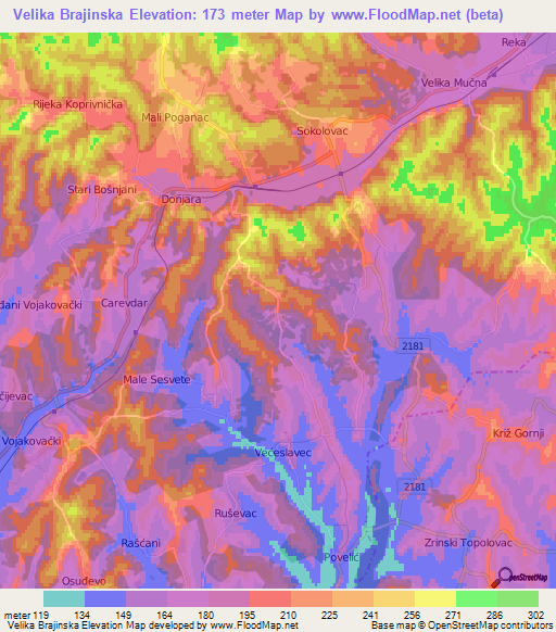 Velika Brajinska,Croatia Elevation Map