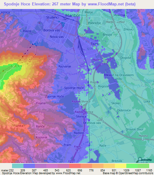 Spodnje Hoce,Slovenia Elevation Map