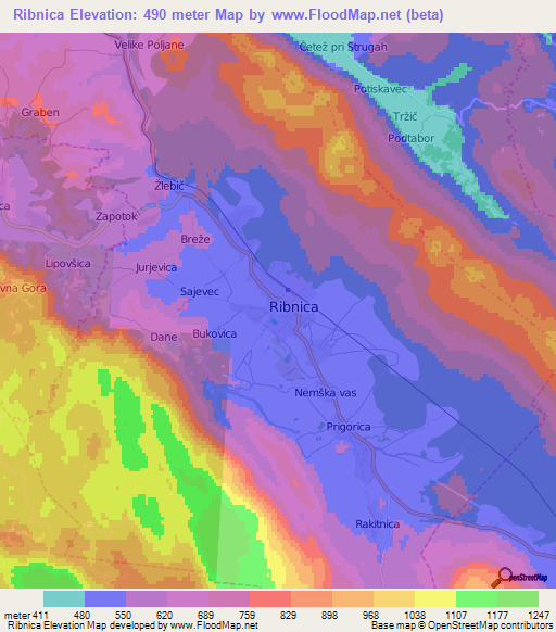 Ribnica,Slovenia Elevation Map