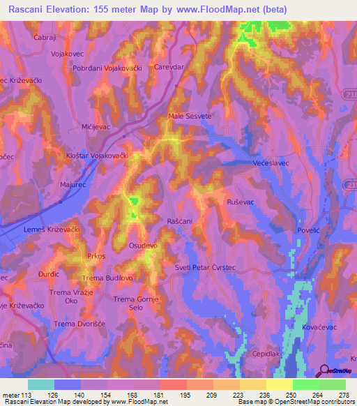 Rascani,Croatia Elevation Map