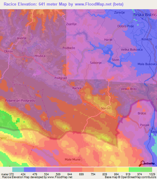 Racice,Slovenia Elevation Map