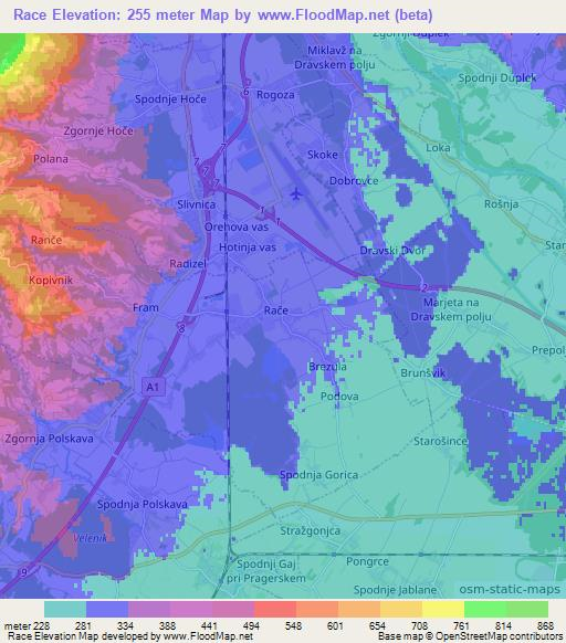 Race,Slovenia Elevation Map