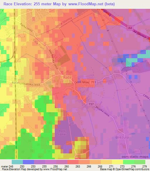 Race,Slovenia Elevation Map