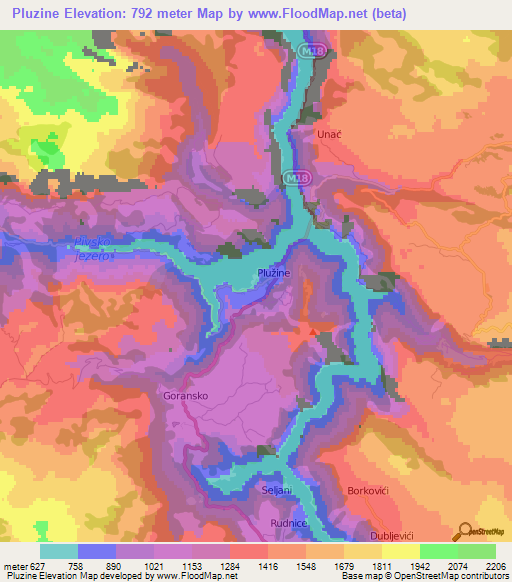 Pluzine,Montenegro Elevation Map