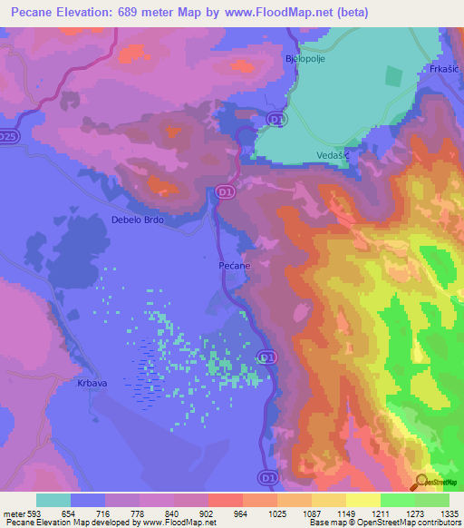 Pecane,Croatia Elevation Map