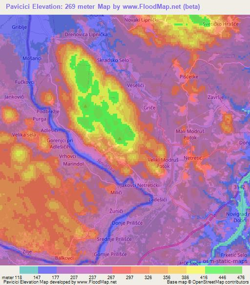 Pavicici,Croatia Elevation Map