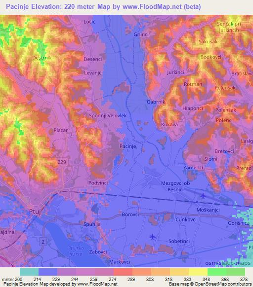 Pacinje,Slovenia Elevation Map