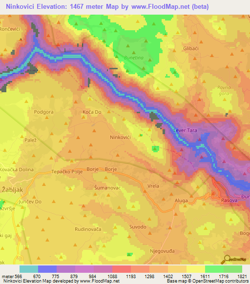 Ninkovici,Montenegro Elevation Map