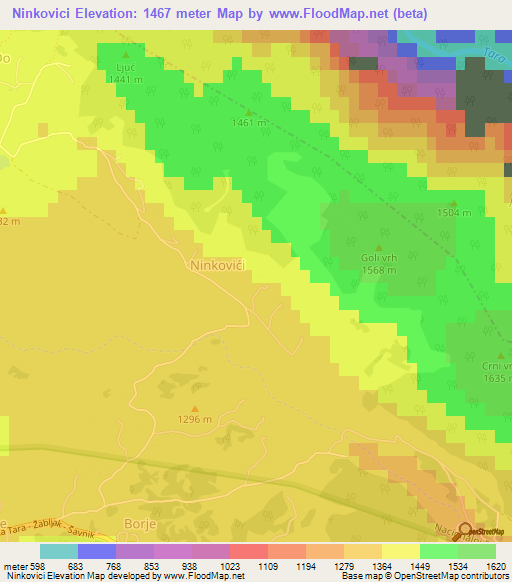 Ninkovici,Montenegro Elevation Map