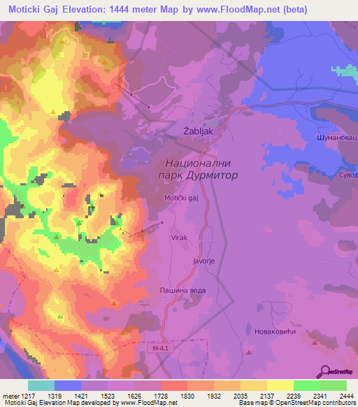 Moticki Gaj,Montenegro Elevation Map