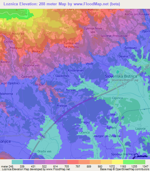 Loznica,Slovenia Elevation Map