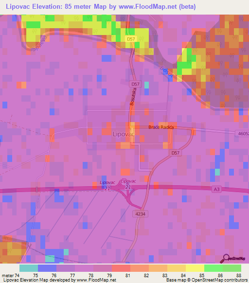 Lipovac,Croatia Elevation Map