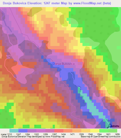 Donja Bukovica,Montenegro Elevation Map