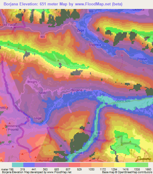 Borjana,Slovenia Elevation Map