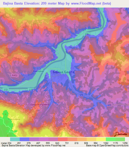 Bajina Basta,Serbia Elevation Map