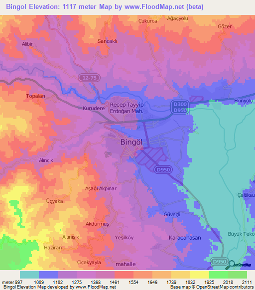 Bingol,Turkey Elevation Map