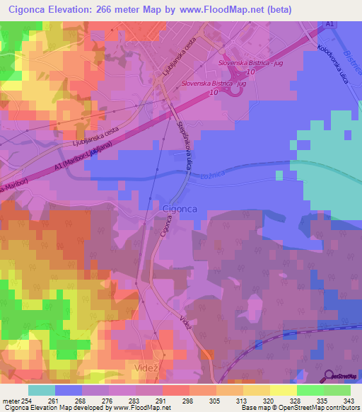 Cigonca,Slovenia Elevation Map