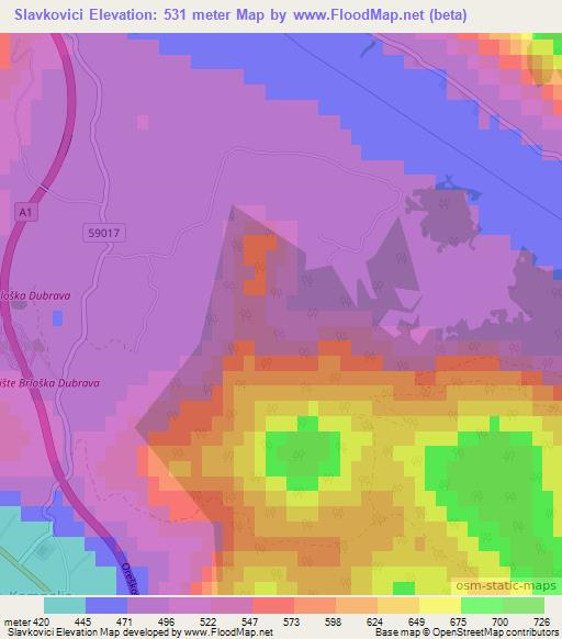 Slavkovici,Croatia Elevation Map