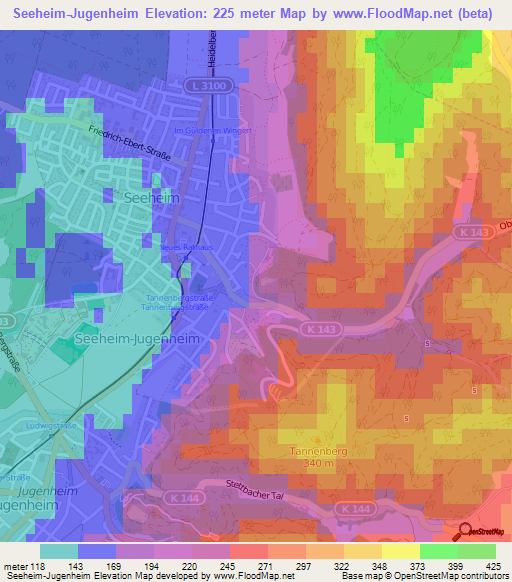 Seeheim-Jugenheim,Germany Elevation Map