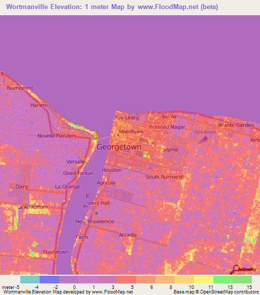 Wortmanville,Guyana Elevation Map