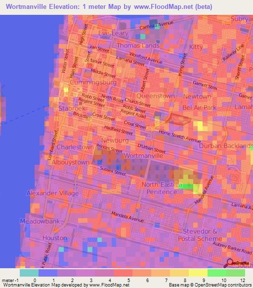 Wortmanville,Guyana Elevation Map