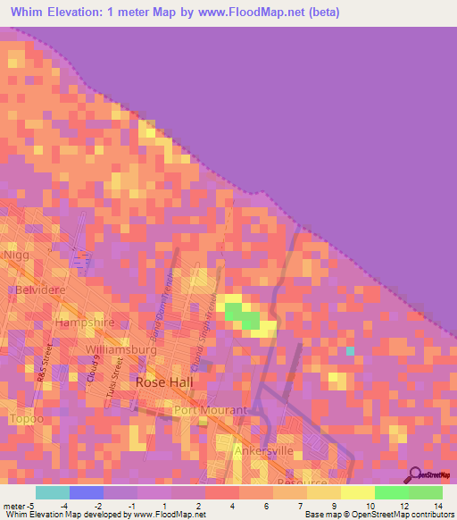 Whim,Guyana Elevation Map