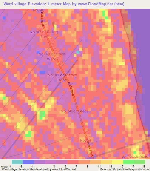 Ward village,Guyana Elevation Map