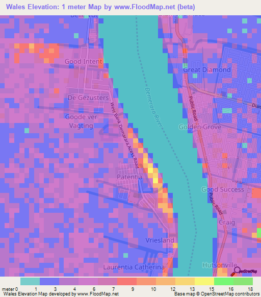 Wales,Guyana Elevation Map