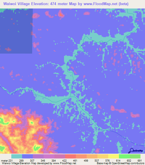 Waiwoi Village,Guyana Elevation Map