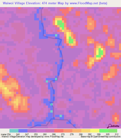 Waiwoi Village,Guyana Elevation Map