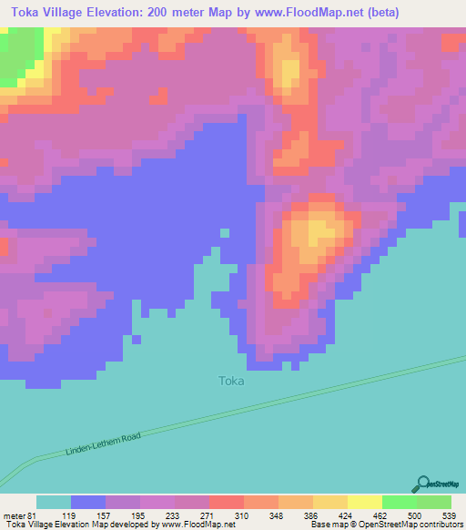 Toka Village,Guyana Elevation Map