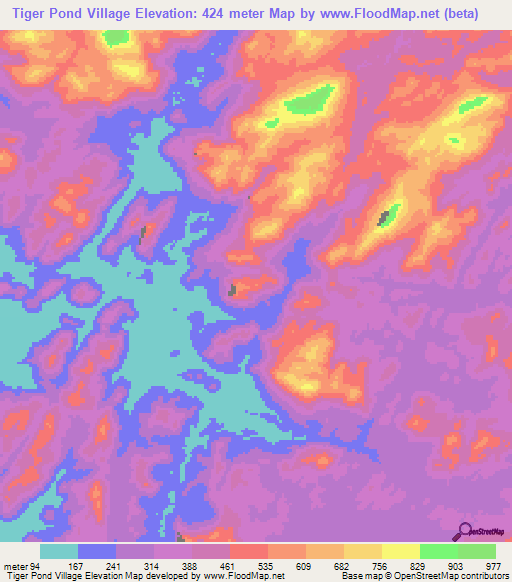 Tiger Pond Village,Guyana Elevation Map