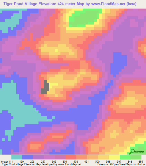 Tiger Pond Village,Guyana Elevation Map