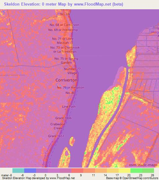 Skeldon,Guyana Elevation Map