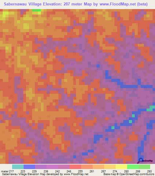 Sabernawau Village,Guyana Elevation Map