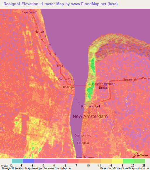 Rosignol,Guyana Elevation Map