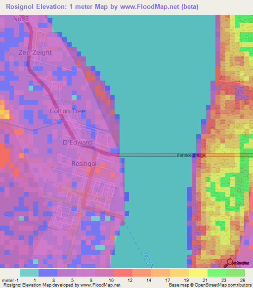 Rosignol,Guyana Elevation Map