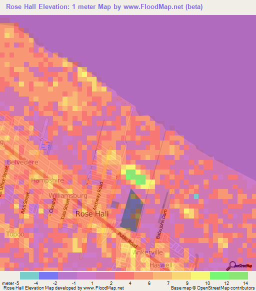 Rose Hall,Guyana Elevation Map