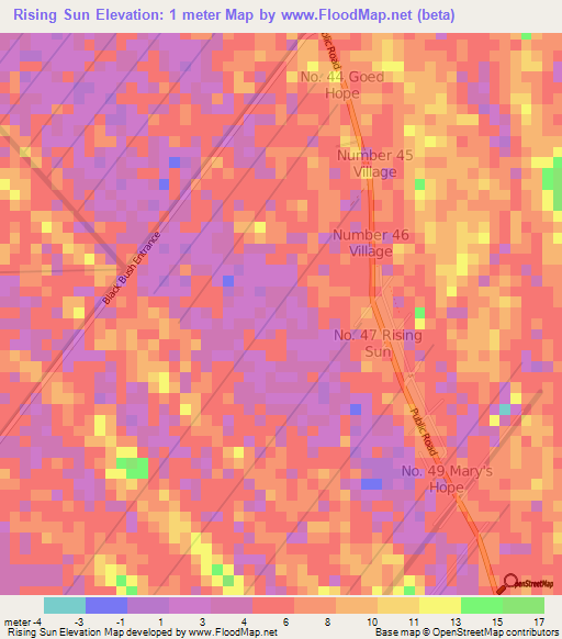 Rising Sun,Guyana Elevation Map