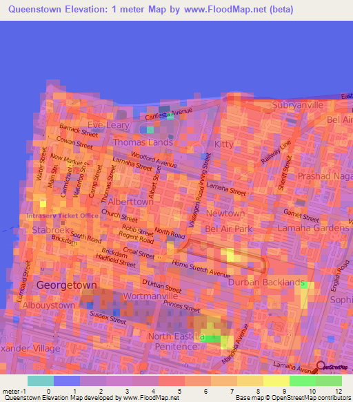 Queenstown,Guyana Elevation Map