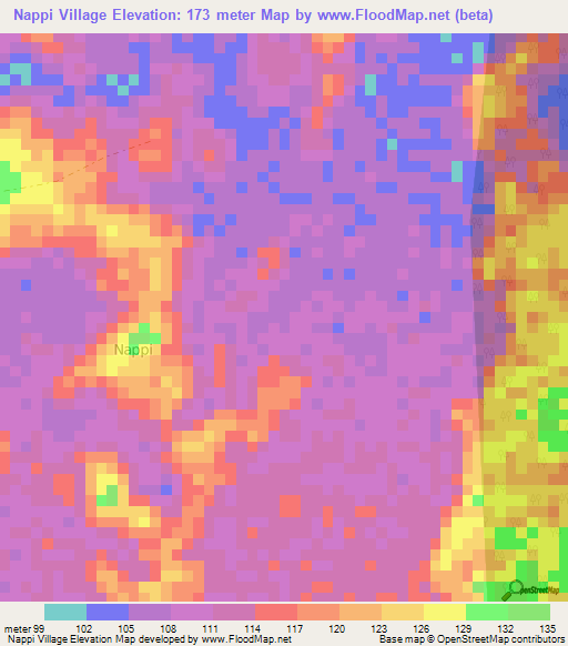 Nappi Village,Guyana Elevation Map