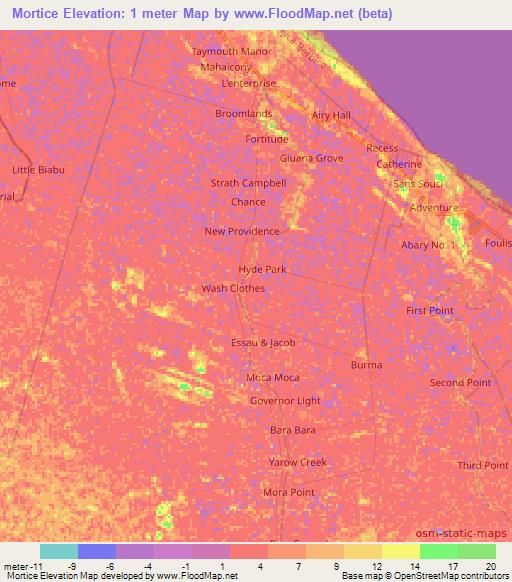 Mortice,Guyana Elevation Map