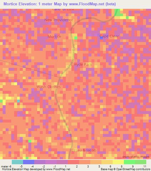 Mortice,Guyana Elevation Map