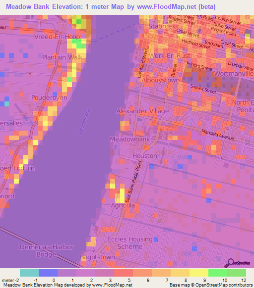 Meadow Bank,Guyana Elevation Map