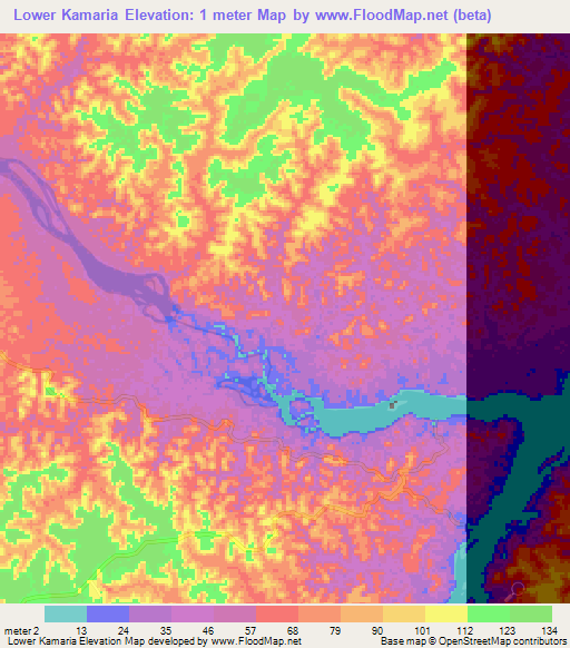 Lower Kamaria,Guyana Elevation Map